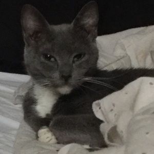 Meet your Posher, Gloria